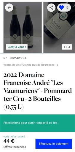 Borgogna Pommard Premier Cru Domaine Françoise André Les Vaumuriens 2022