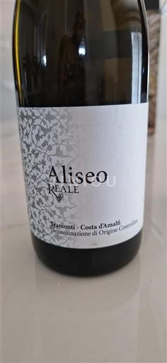 Kampanja Costa d'Amalfi Aliseo 2023