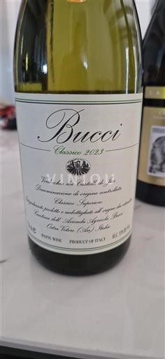Marche Verdicchio dei Castelli di Jesi Bucci Classico 2023