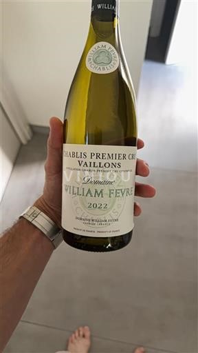 Bourgogne Chablis Premier Cru Domaine William Fèvre Vaillons 2022