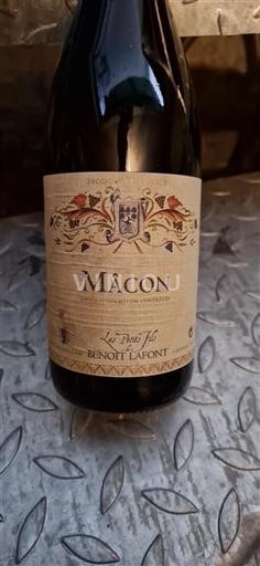 Bourgondië Mâcon en mâcon-dorpen Benoît Lafont Les Petits Fils 2018