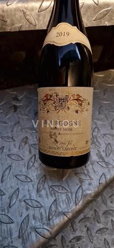 Bourgogne Les Petits Fils de Benoit Lafont 2019