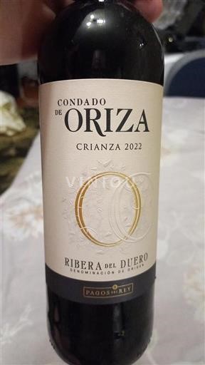 Castille et León Ribera del Duero Condado de Oriza Crianza 2022