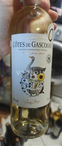 Sydvestfrankrig Côtes de Gascogne Pierre Chanau 2024