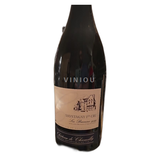Borgogna Montagny Premier Cru Château Chamilly Les Burnins 2022