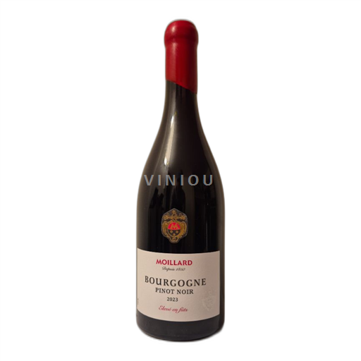 Burgundy Moillard 2023