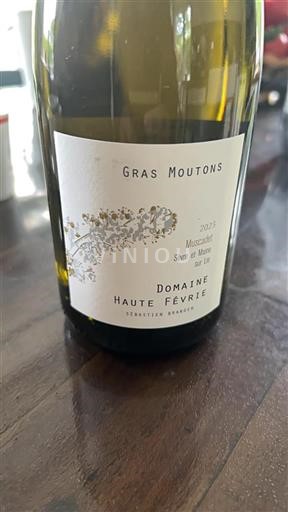 Valle della Loira Muscadet Sèvre et Maine Domaine Haute Févrie Gras Moutons 2023