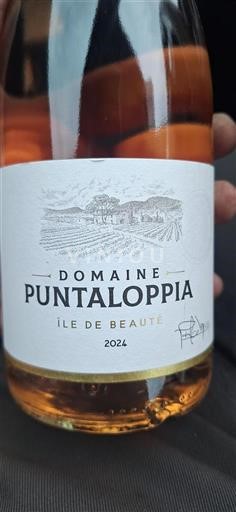 Languedoc ja Roussillon Val de Cesse Domaine Puntaloppia 2024