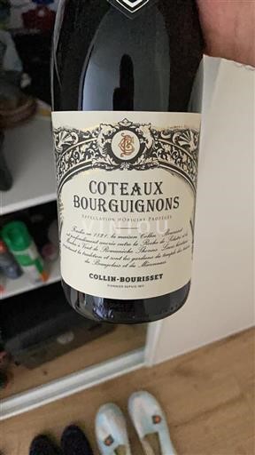 Borgogna Coteaux borgognoni Collin-Bourisset Senza annata