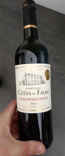 Bordeaux Puisseguin-saint-émilion Château Côtes du Fayan 2022