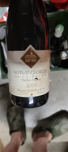 Borgogna Nuits-Saint-Georges Domaine Daniel Rion & Fils Vieilles Vignes 2008