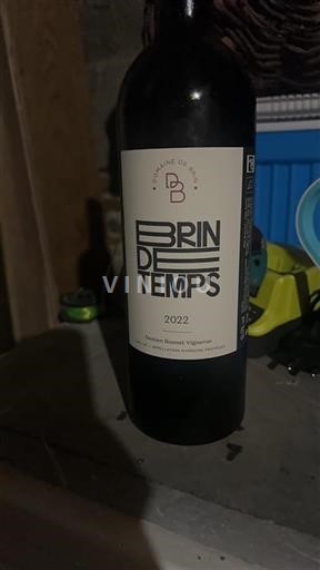 Jugozahod Gaillac Domaine Brin Brin de Temps 2022
