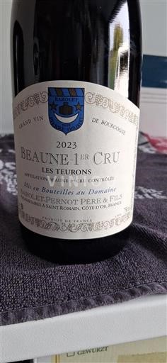 Burgundsko Nespecifikováno Premier Cru Barolet-Pernot Père & Fils Les Teurons 2023