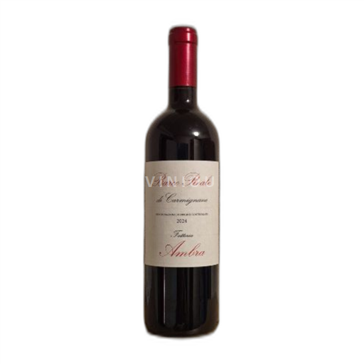 Tuscan Wines Unspecified Fattoria Ambra 2024