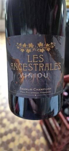 Vallée de la Loire Saumur-champigny Paul Filliatreau Les Ancestrales Non Millésimé