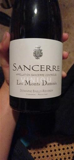 Valle del Loira Sancerre Domaine Bailly-Reverdy Les Monts Damnés Sin añada