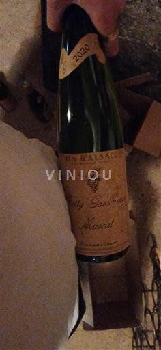 Alsace Muscat Rolly Gassmann Muscat 2020