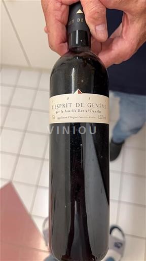 Ginevra Non specificato Famille Daniel Tremblet L'Esprit de Genève 2015