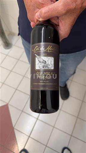 Valais Ikke specificeret D. Savioz Vigneron Cri du Merle 2023