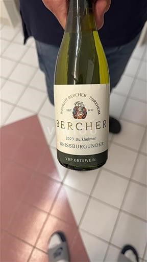 Baden Not Specified Weingut Bercher Burkheimer Weissburgunder 2023