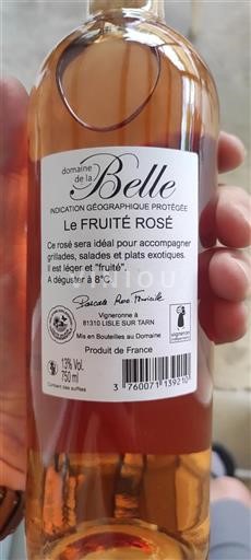 Sudoeste Não especificado Domaine La Belle Le Fruité Rosé Não Sazonado