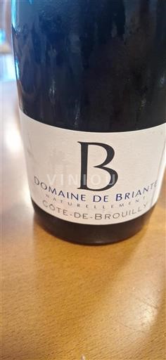 Beaujolais Côte-de-brouilly Domaine Briante Senza annata