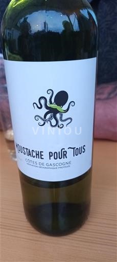 Sydvestfrankrig Côtes de Gascogne Moustache Pour Tous 2024