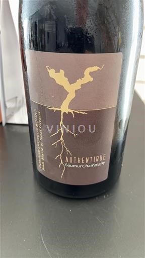 Valle del Loira Saumur-Champigny Domaine Vieux Bourg Authentique Sin añada