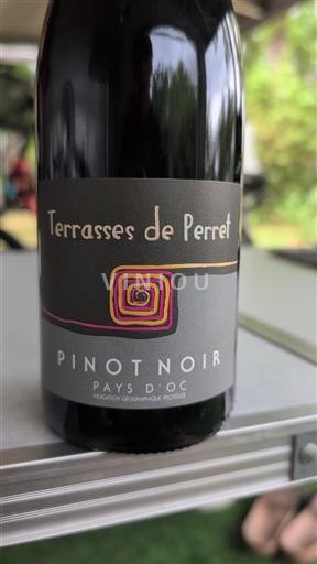 Linguadoca e Rossiglione Paese d'Oc Terrasses de Perret Pinot Noir 2023