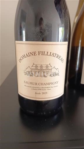 Loire Valley Saumur-Champigny Domaine Filliatreau 2019