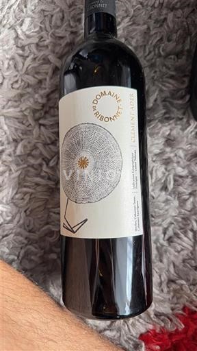 Sydväst Comté tolosan Domaine Ribbonnet Clément Ader 2021