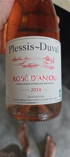 Valle della Loira Rosé d'Anjou Plessis-Duval 2024