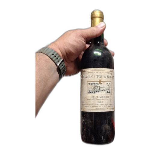 Bordéus Haut-Médoc Château Tour Bel-Air 1990