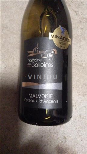 Loire Valley Coteaux d'Ancenis Domaine Des Galloires Malvoisie Non-Vintage