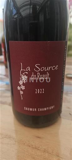 Valle della Loira Saumur-Champigny La Source du Ruault 2022
