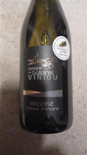 Loire Valley Coteaux d'Ancenis Domaine Des Galloires 2025