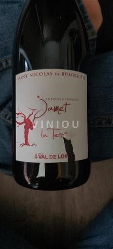 Valle della Loira Saint-Nicolas-De-Bourgueil Jamet La Terre 2017