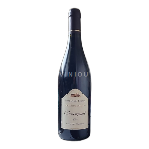 Valle della Loira Bourgueil Domaine Des Chesnaies des Chesnaies 2014