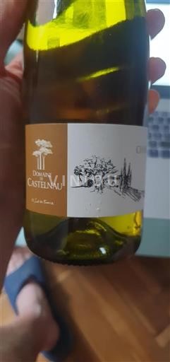 Languedoc Ospecificerad Domaine Castelnau Chardonnay 2022