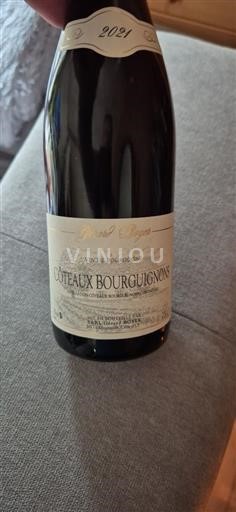 Borgogna Coteaux borgognoni Gérard Boyer 2021