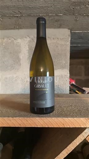 Údolí Loiry Coteaux du Giennois Champ Gibault Florian Roblin 2023