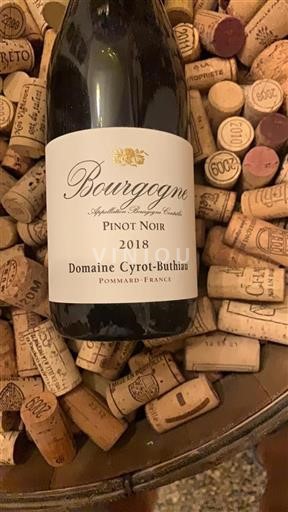 Borgoña Domaine Cyrot-Buthiau 2018