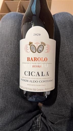Vin Rouge sec Cicala Poderi Aldo Conterno 2020 Italie Piémont Barolo