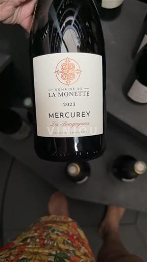 Bourgogne Mercurey Domaine La Monette Les Bourguignons 2023