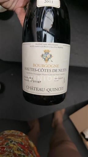 Bourgogne Ospecificerad Château Quincey 2011