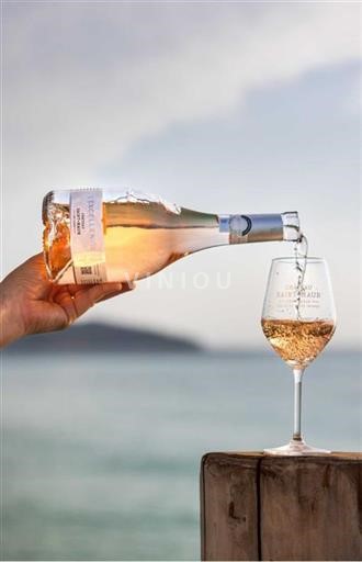 Provence Côtes-de-provence Château Saint-Maur Excellence 2023