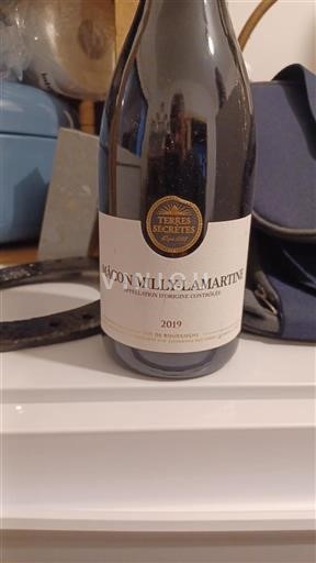 Bourgogne Mâcon och Mâcon-Villages Terres Secrètes 2019