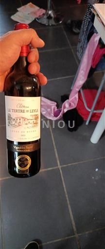Bordeaux Côtes-de-bourg Le Tertre de Leyle 2022