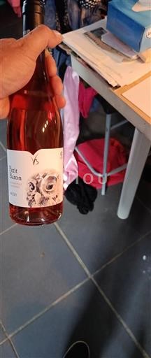 Jihozápad Buzet Petit Baron 2023