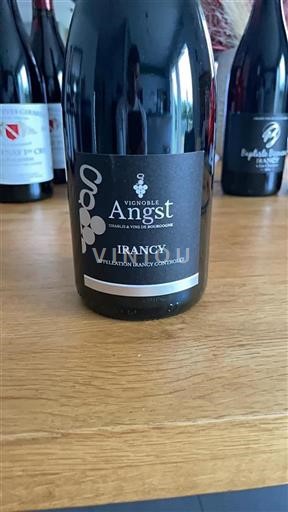 Bourgogne Irancy Vignoble Angst 2022